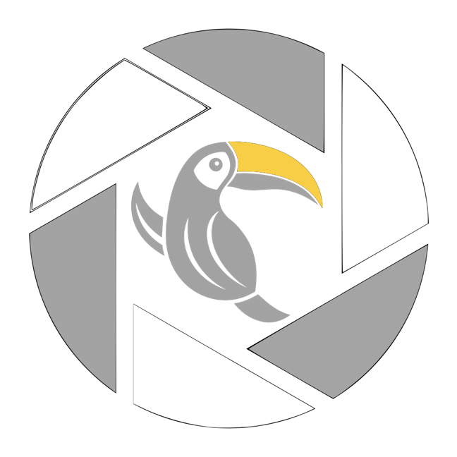 logo sample